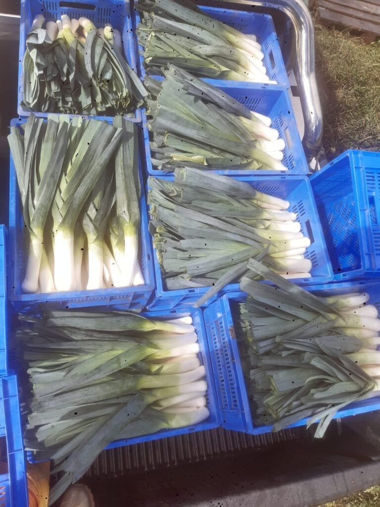 留尼汪使用场景 1