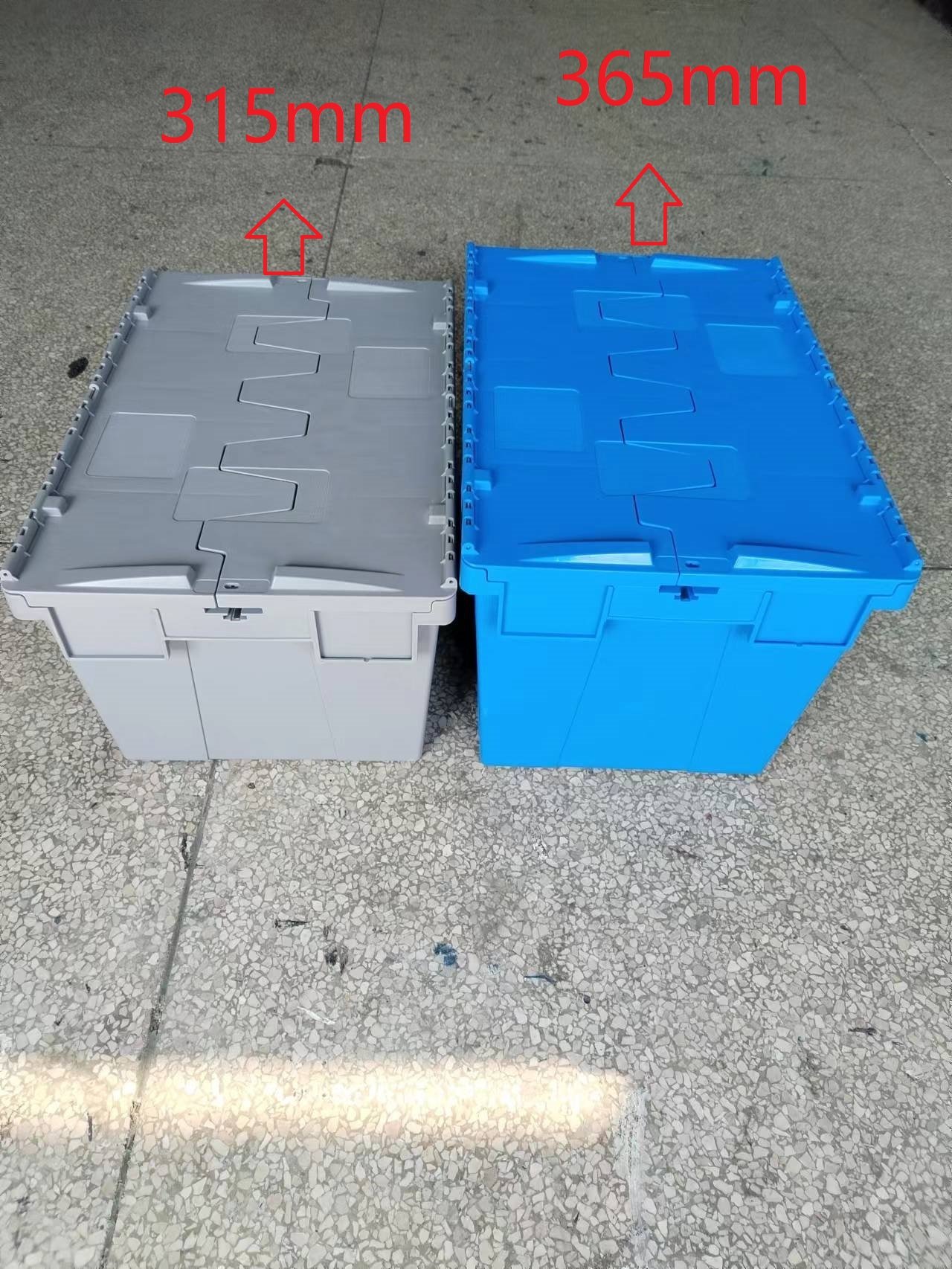 attached lid container sizes and specifications